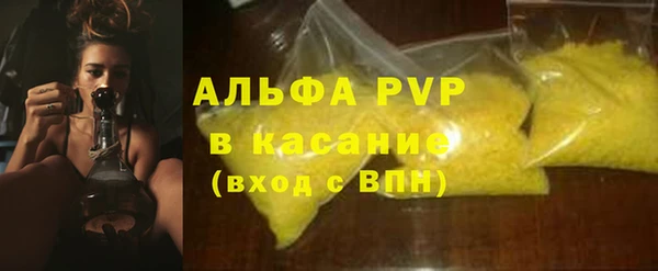 сатива Абинск