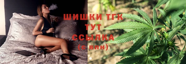 сатива Абинск