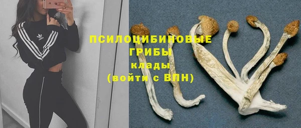 дурь Протвино