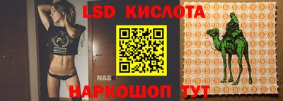 дживик Кинель