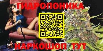 дживик Кинель