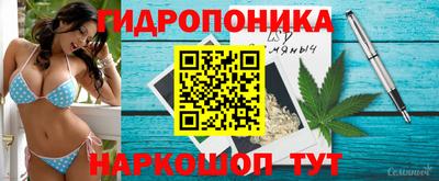 a pvp Кимры